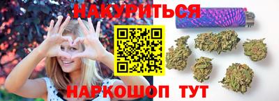 Альфа ПВП Канаш