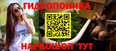 Альфа ПВП Канаш